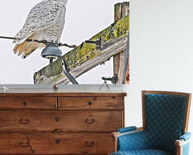 DSC 1876  by James Shedden Photography