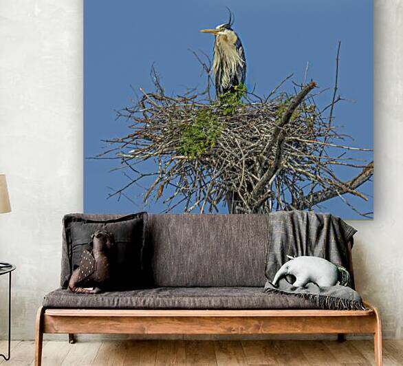 JBS 0860ED by James Shedden Photography