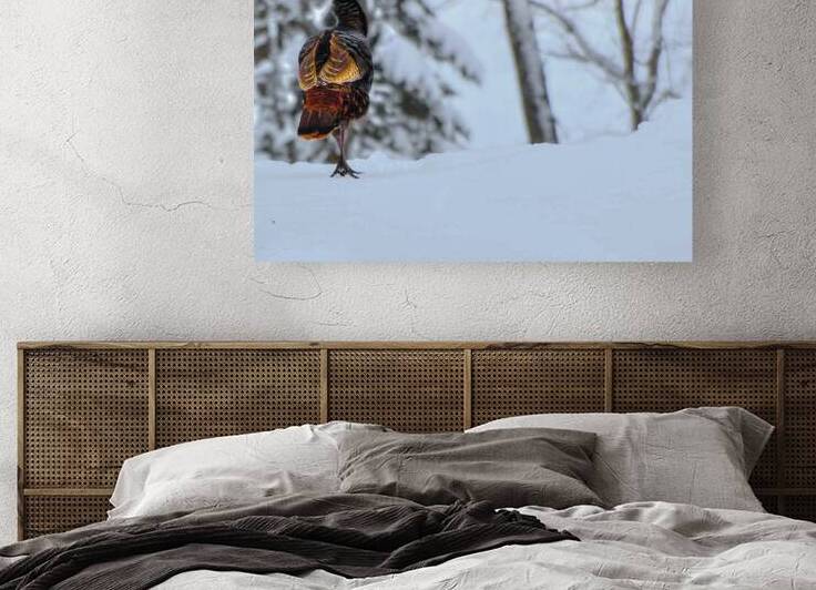 DSC 5553  by James Shedden Photography