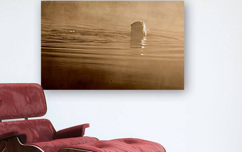 DSC 1719  by James Shedden Photography