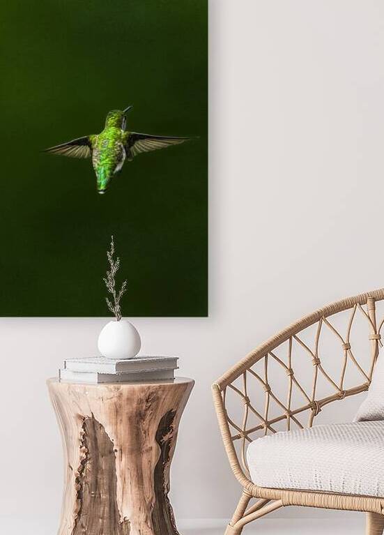 JBS 1467 by James Shedden Photography