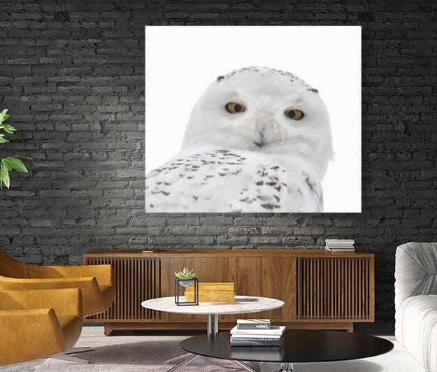 DSC 1876 2 by James Shedden Photography