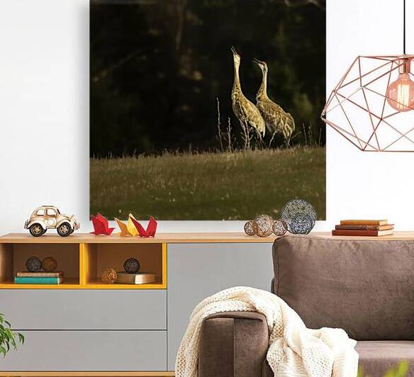 JBS 0918 by James Shedden Photography