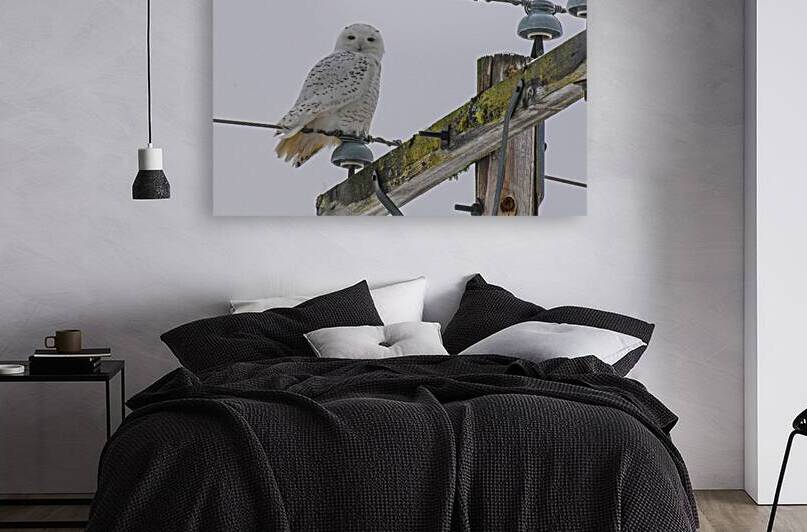 DSC 1879 by James Shedden Photography