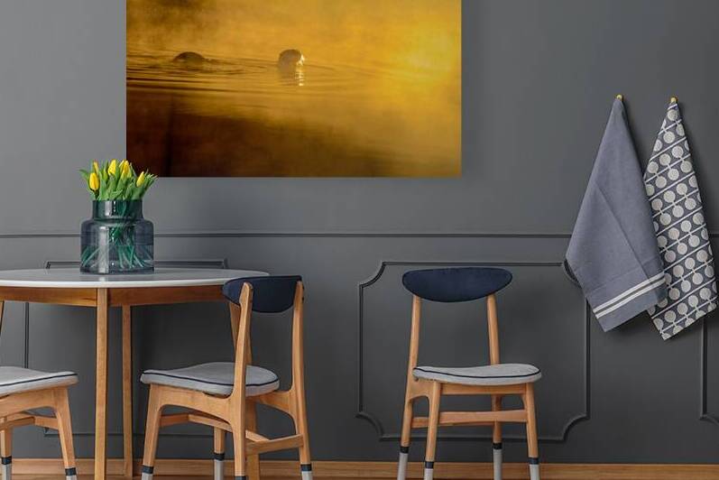 DSC 1717  by James Shedden Photography