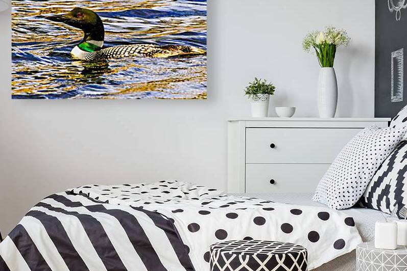 JBS 2215  by James Shedden Photography