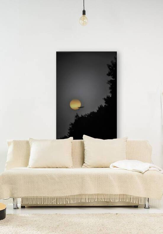 her rise 2 by James Shedden Photography