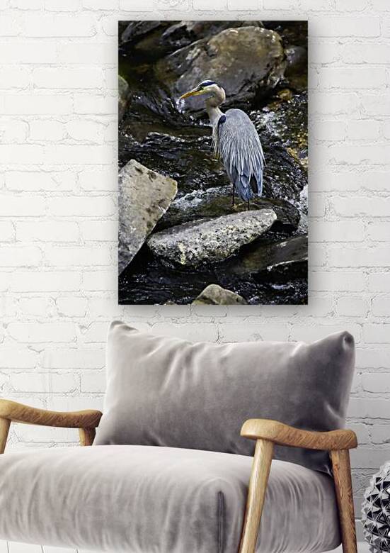 JBS 1574 by James Shedden Photography