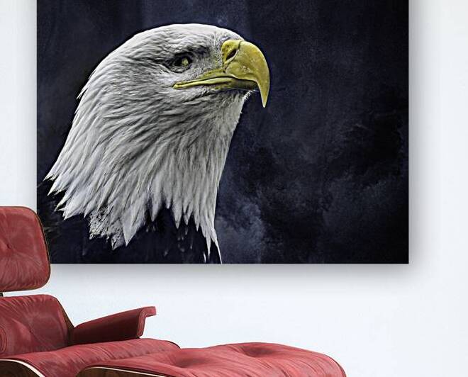 JBS 1282  by James Shedden Photography