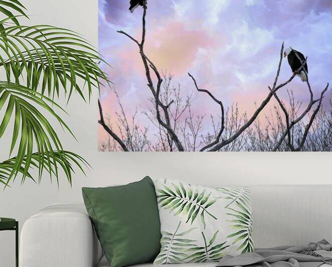 DSC 0357  by James Shedden Photography