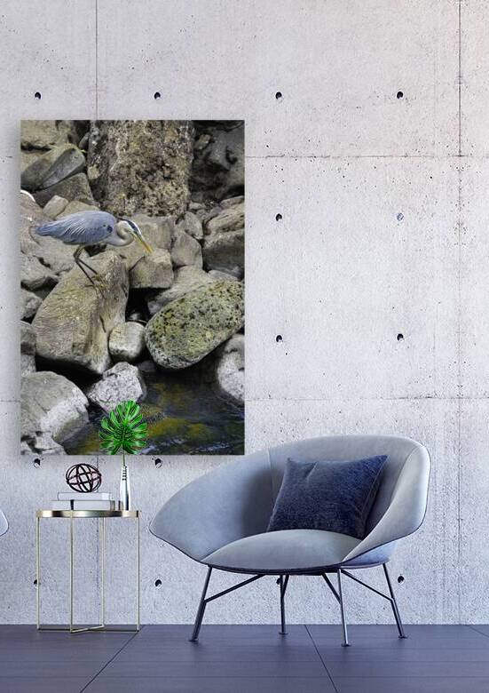 JBS 1629 2 by James Shedden Photography