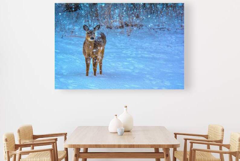 JBS 0395  by James Shedden Photography