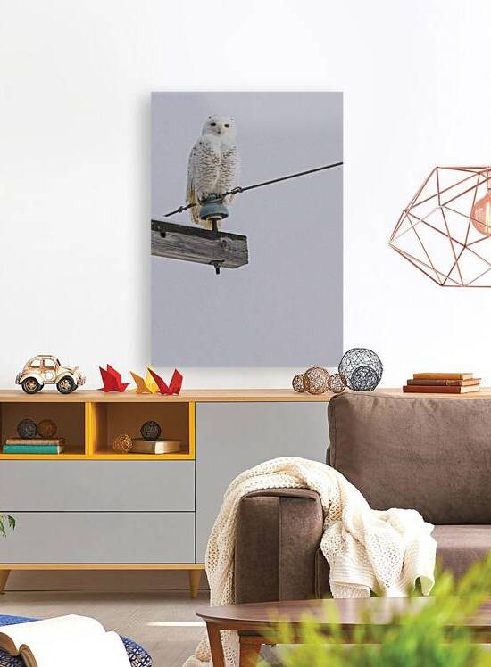 DSC 1897 by James Shedden Photography