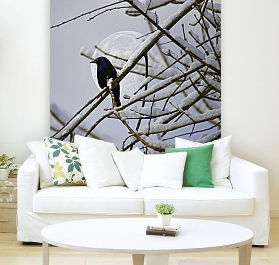 JBS 0164  by James Shedden Photography