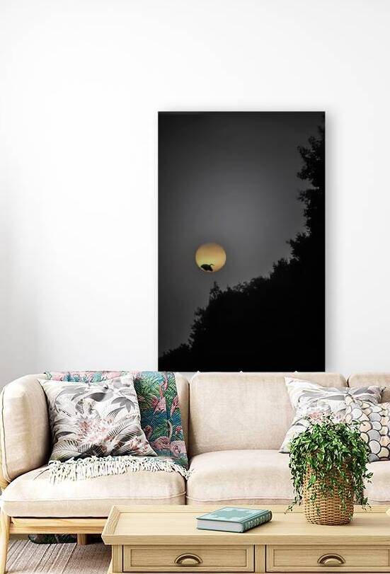 her rise by James Shedden Photography