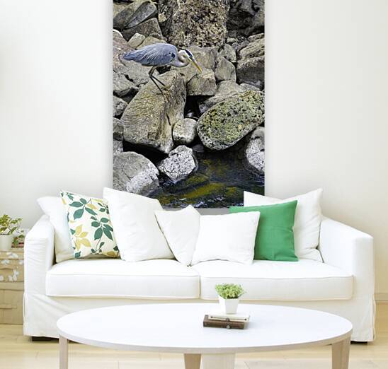 JBS 1629 by James Shedden Photography