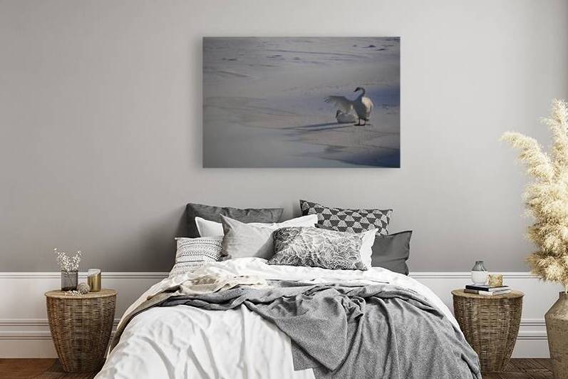 DSC 5806 by James Shedden Photography