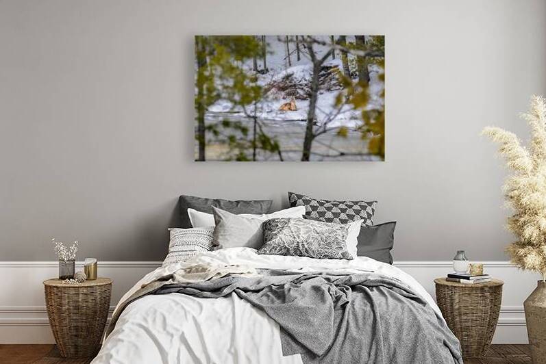  JBS5840 1 by James Shedden Photography