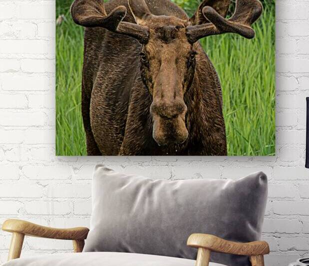 JBS 2500 by James Shedden Photography