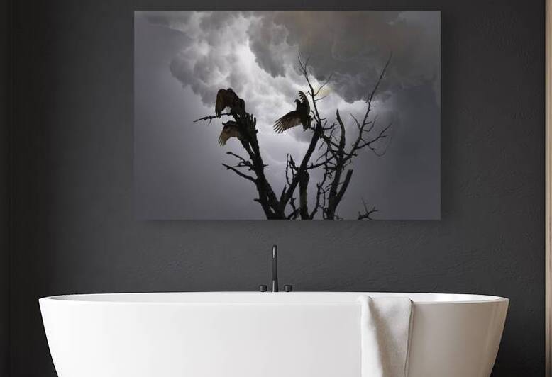 JBS 5291  by James Shedden Photography