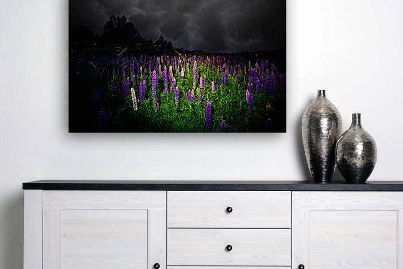 ZJS 7780  by James Shedden Photography