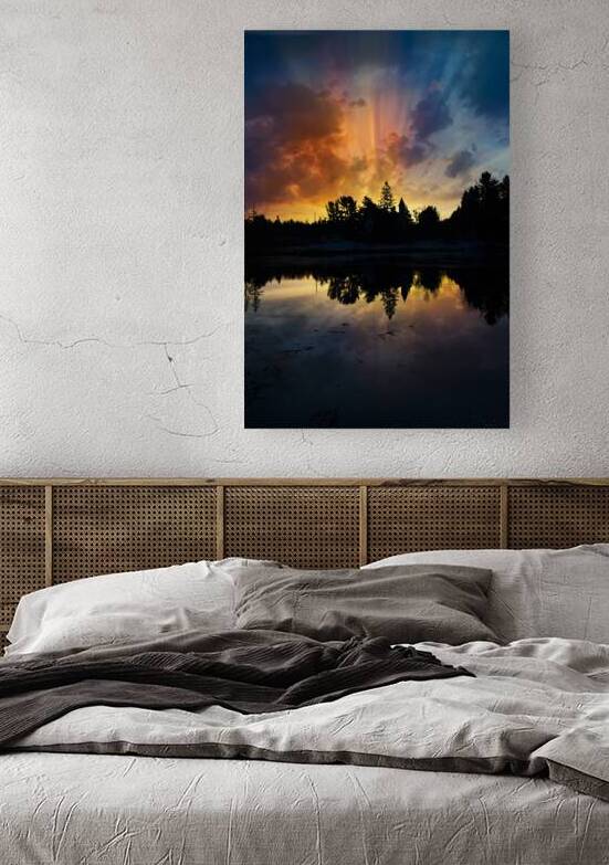 ZJS 6340  by James Shedden Photography