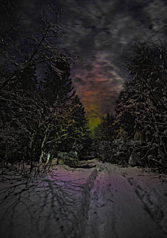 ZJS 6936  by James Shedden Photography