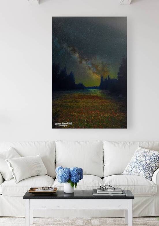 JBS 4834  by James Shedden Photography