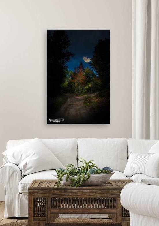 ZJS 8379  by James Shedden Photography