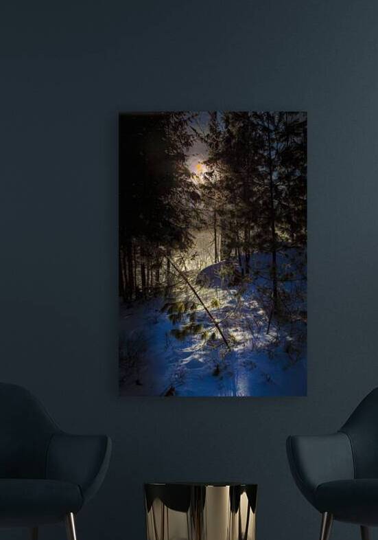 JBS 8757  by James Shedden Photography