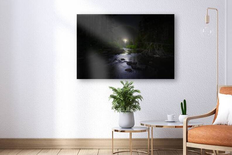 JBS 2058  by James Shedden Photography