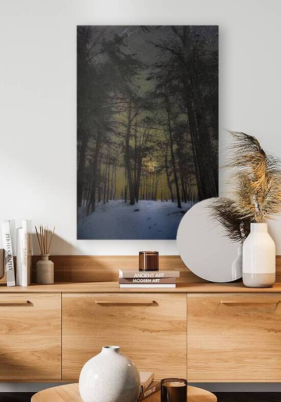 JBS 8747  by James Shedden Photography