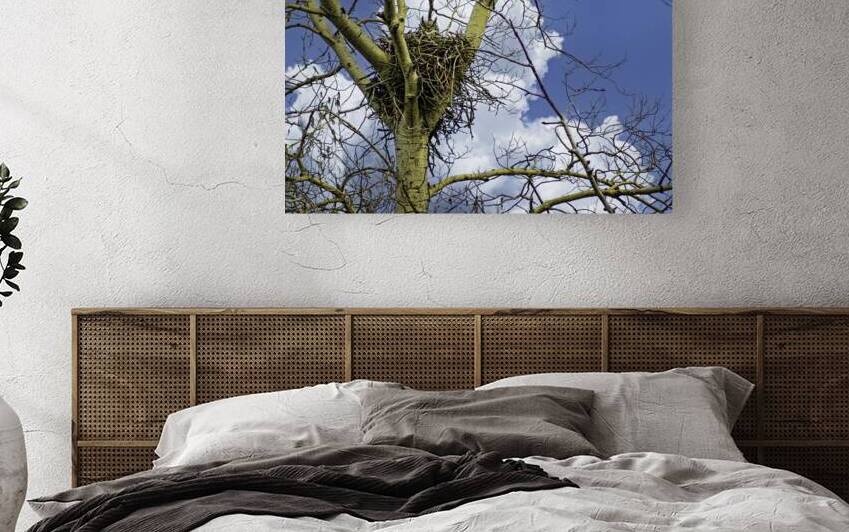 DSC 0059  by James Shedden Photography