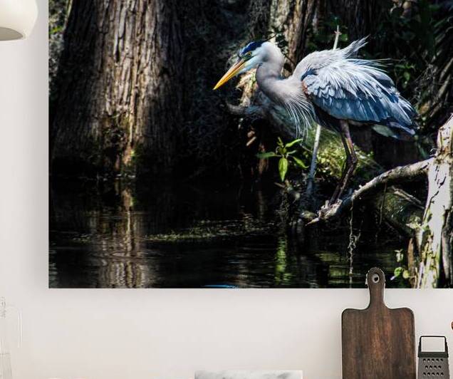 DSC 0216 2 by James Shedden Photography