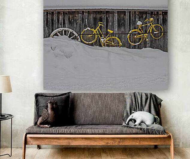 ZJS 9138 by James Shedden Photography