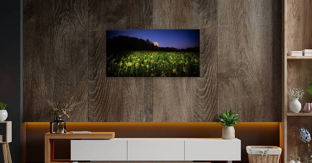 ZJS 8327  by James Shedden Photography