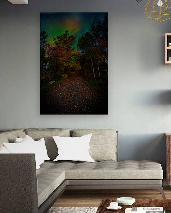 JBS 3816  by James Shedden Photography