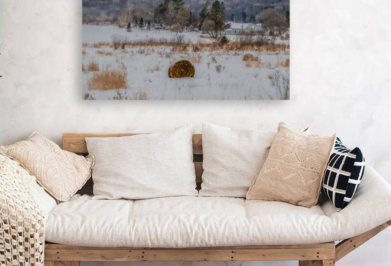 ZJS 9136  by James Shedden Photography