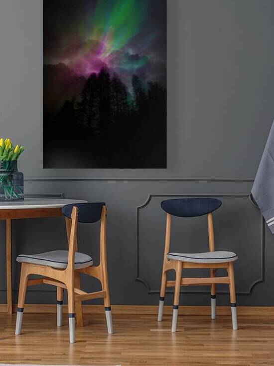 JBS 9713  by James Shedden Photography