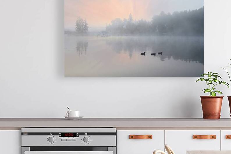 ZJS 8325  by James Shedden Photography