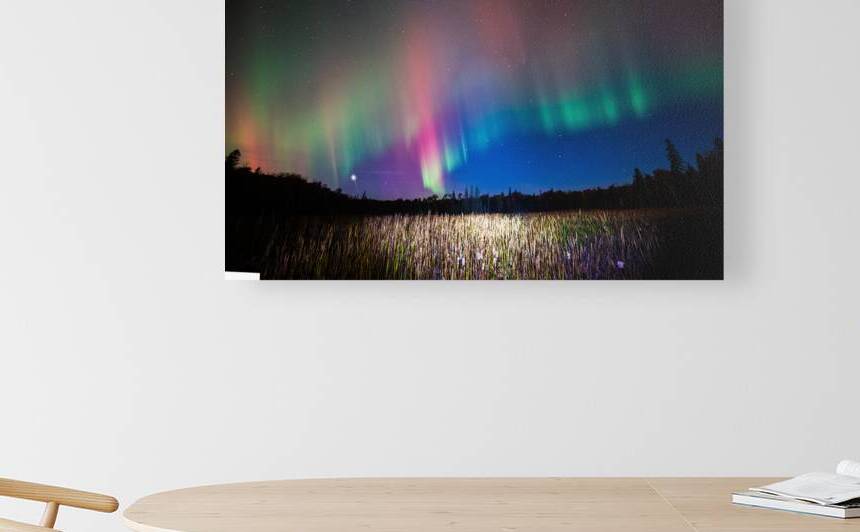 ZJS 8404  by James Shedden Photography