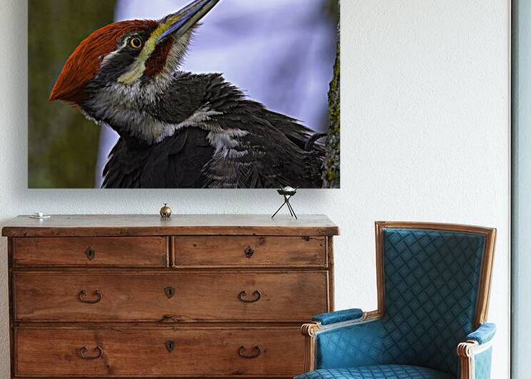 JBS 5301  by James Shedden Photography