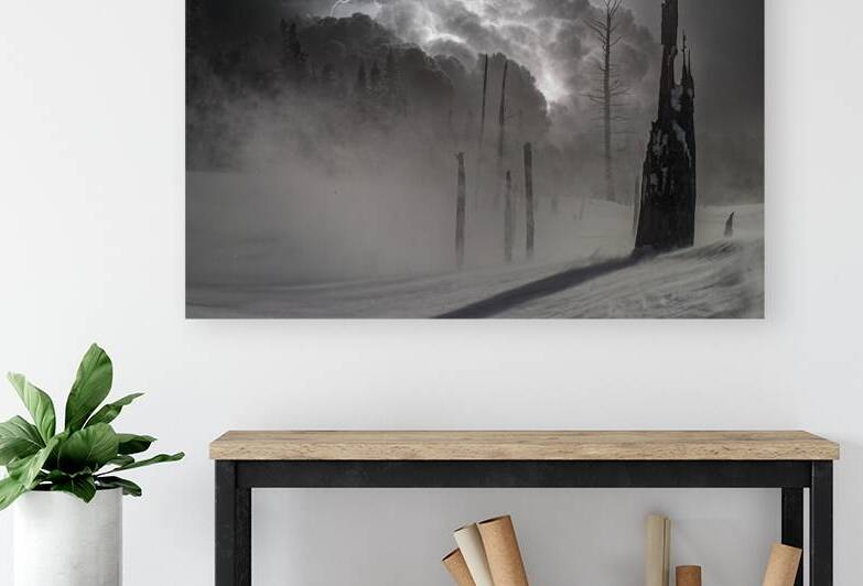 Swamp-winter by James Shedden Photography