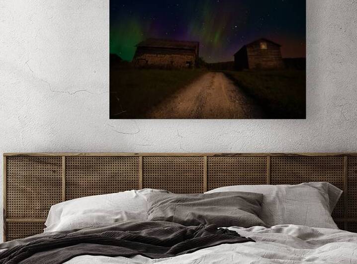 ZJS 8347  by James Shedden Photography