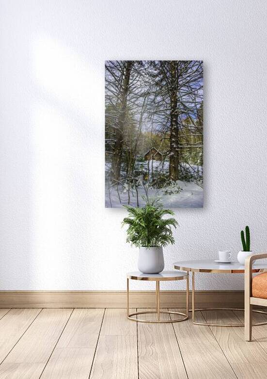 JBS 5217 by James Shedden Photography