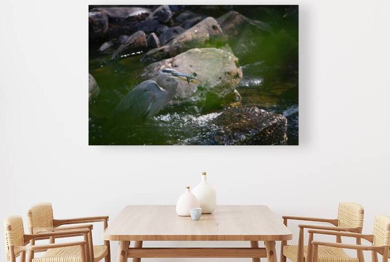 JBS 3491 2 by James Shedden Photography