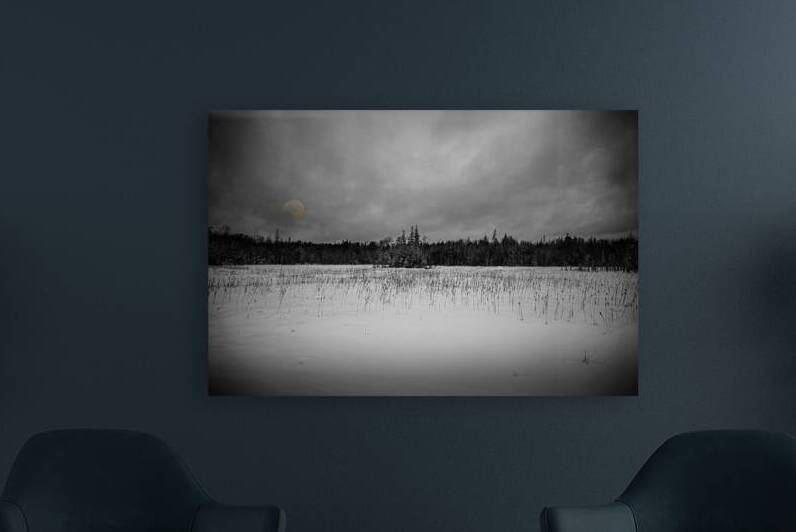 ZJS 9284 2  by James Shedden Photography