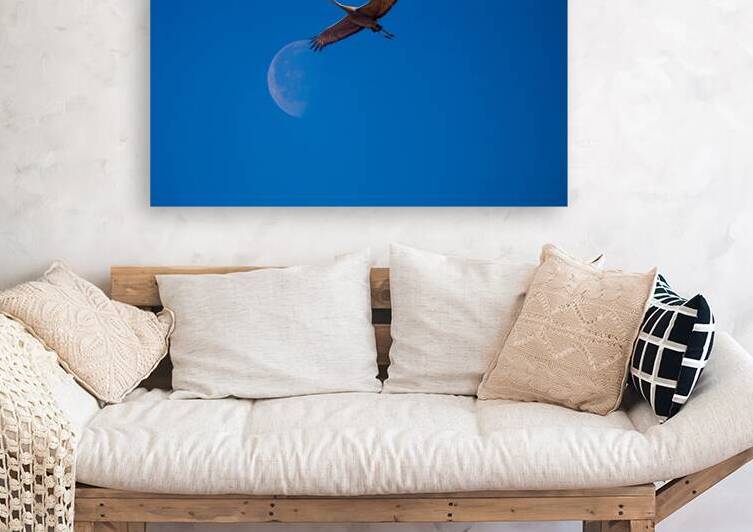 Sandhill and Moon by James Shedden Photography