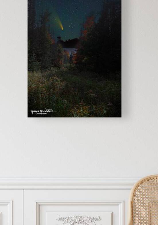 DSC 5763  by James Shedden Photography