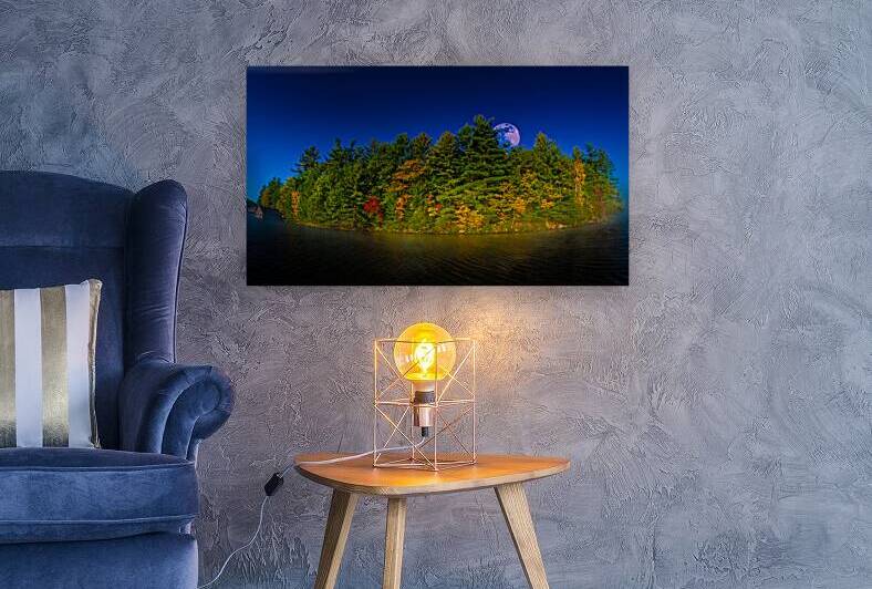 JBS 4806  by James Shedden Photography